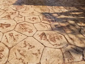 Obra de hormigón: 6